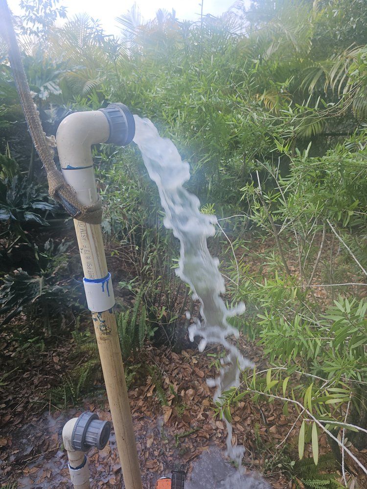 Water gushes from a PVC pipe, surrounded by lush green foliage in an outdoor setting.