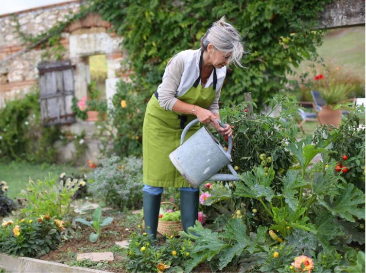 woman watering vegetable garden