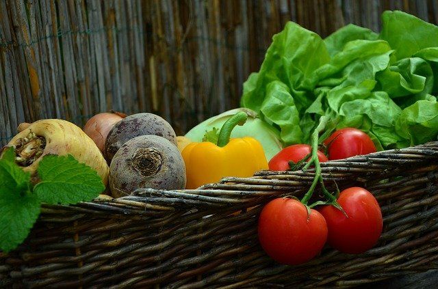 basket of vegetables grown in a garden