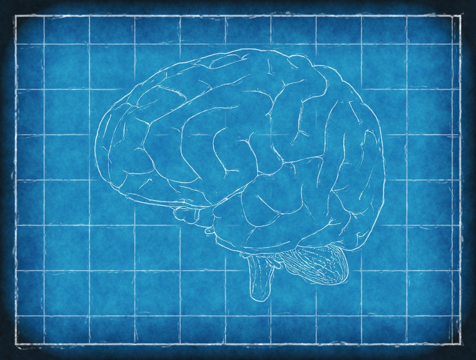 blue print background with image of brain on it for CBT is best treatment for OCD