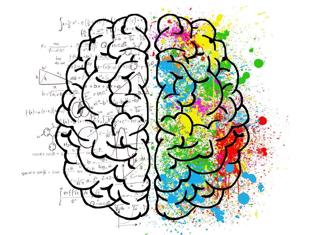 illustration of brain with right side covered in colors and left side covered in math for where mindset comes from