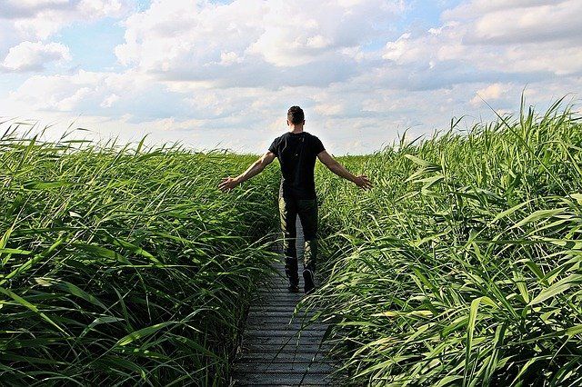 man walking on path in between tall grasses coping with stress
