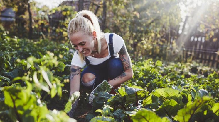 woman with blond hair working in vegetable garden