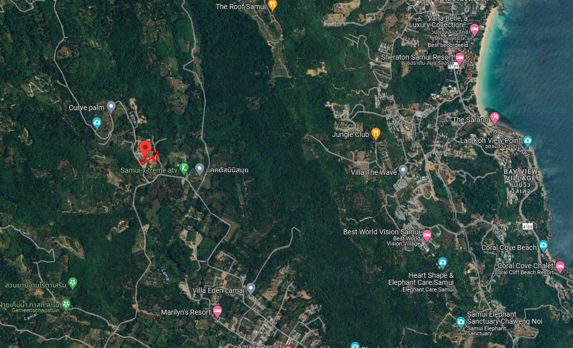 An aerial view of a lush green forest with a beach in the background.