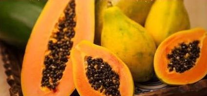 Nutrizione ed alimentazione 