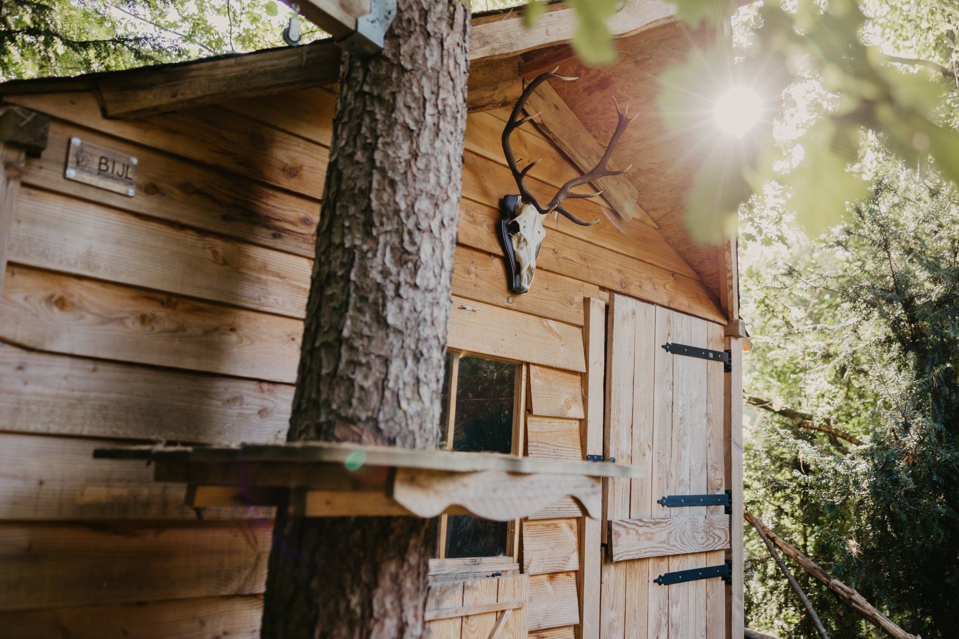 Een houten huis met een hertenschedel op het dak.