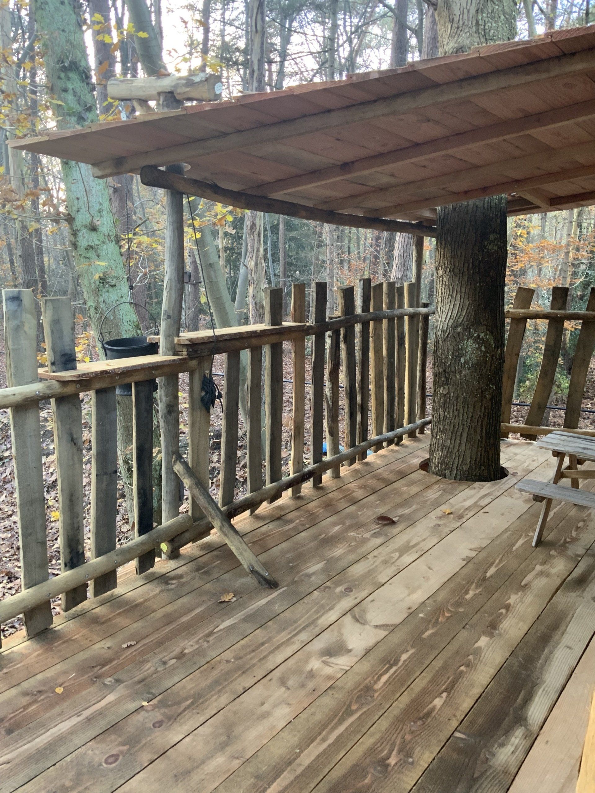Een houten vlonder met hek en een picknicktafel in het bos.