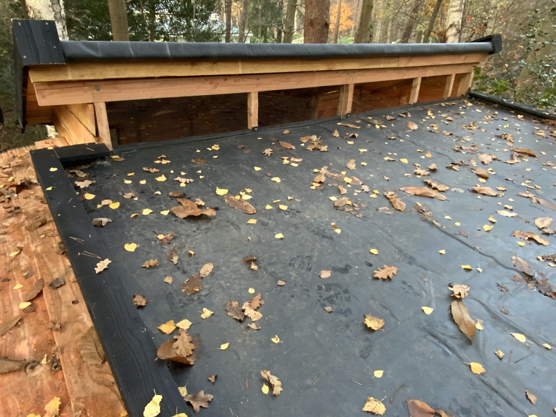 Een dak met veel bladeren erop