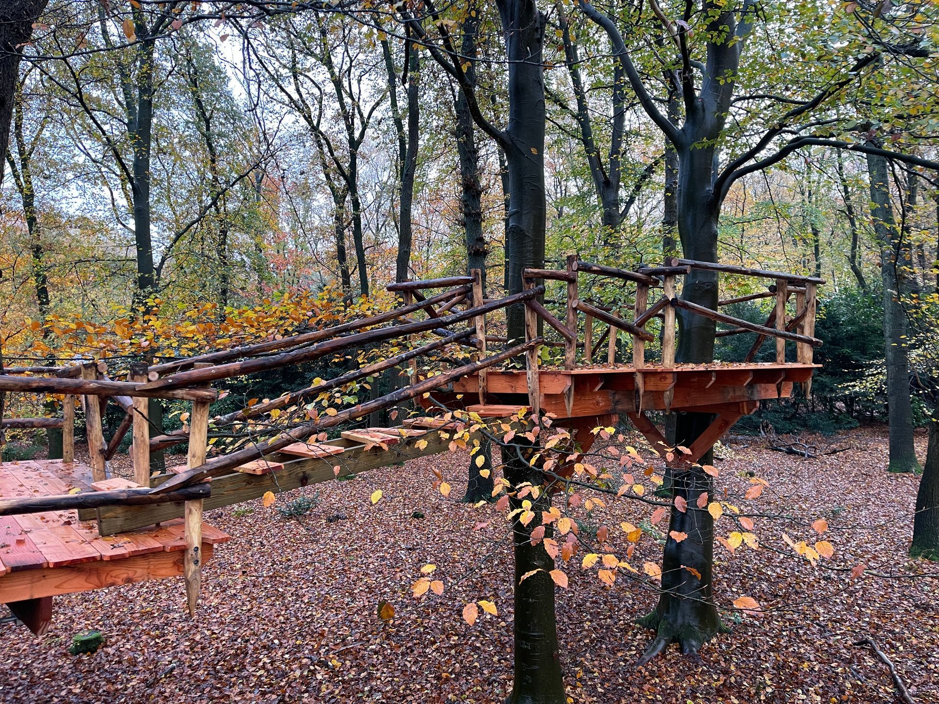 Een houten brug midden in een bos omringd door bomen en bladeren.