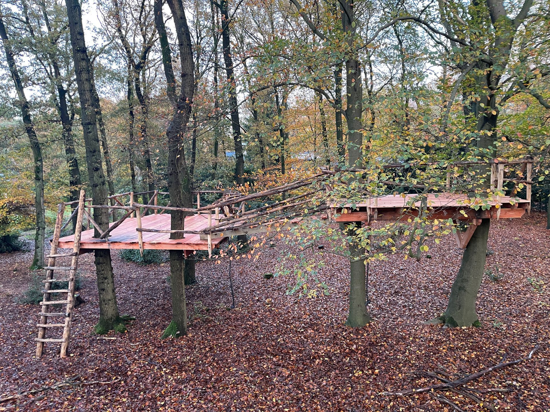 Midden in een bos wordt een boomhut gebouwd.