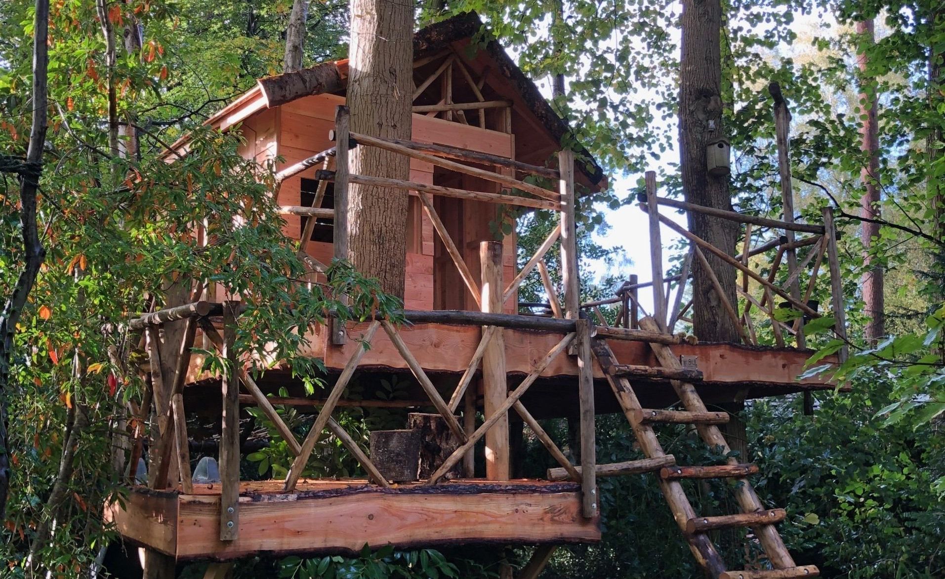 Een boomhut midden in een bos met trappen
