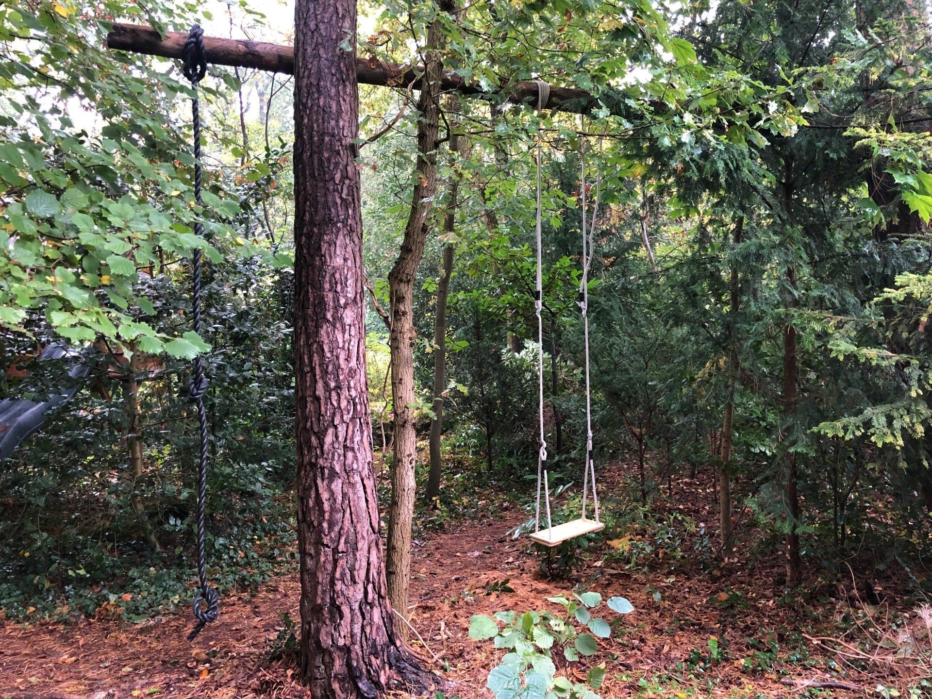 Midden in een bos hangt een houten schommel aan een boom.