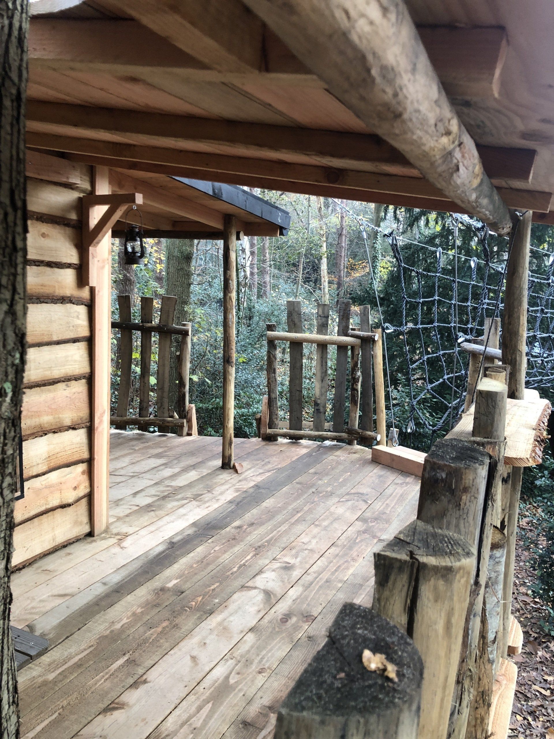 Een houten vlonder met een hek eromheen in het bos.