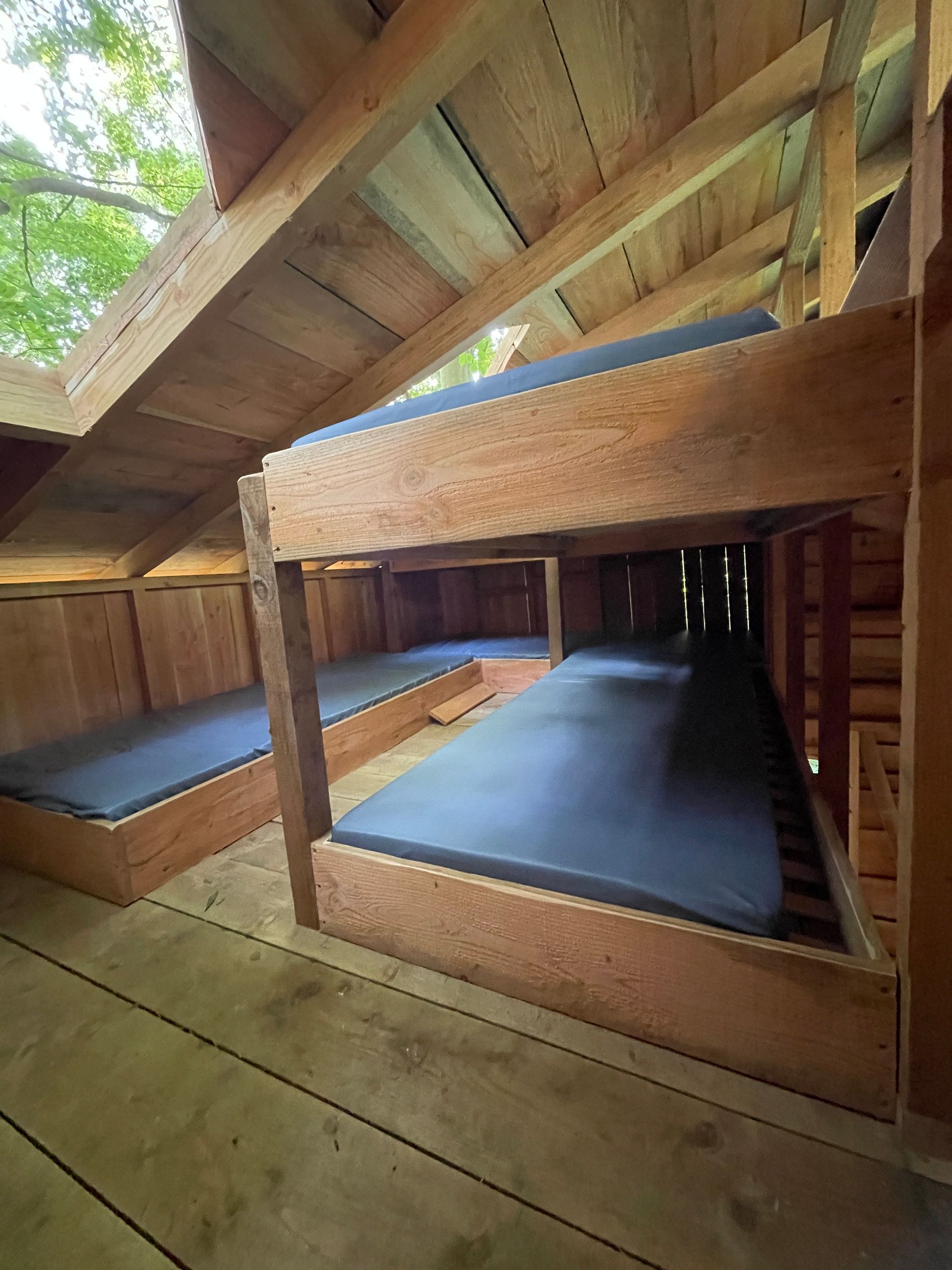 Een rij stapelbedden in een houten hut met blauwe matrassen.