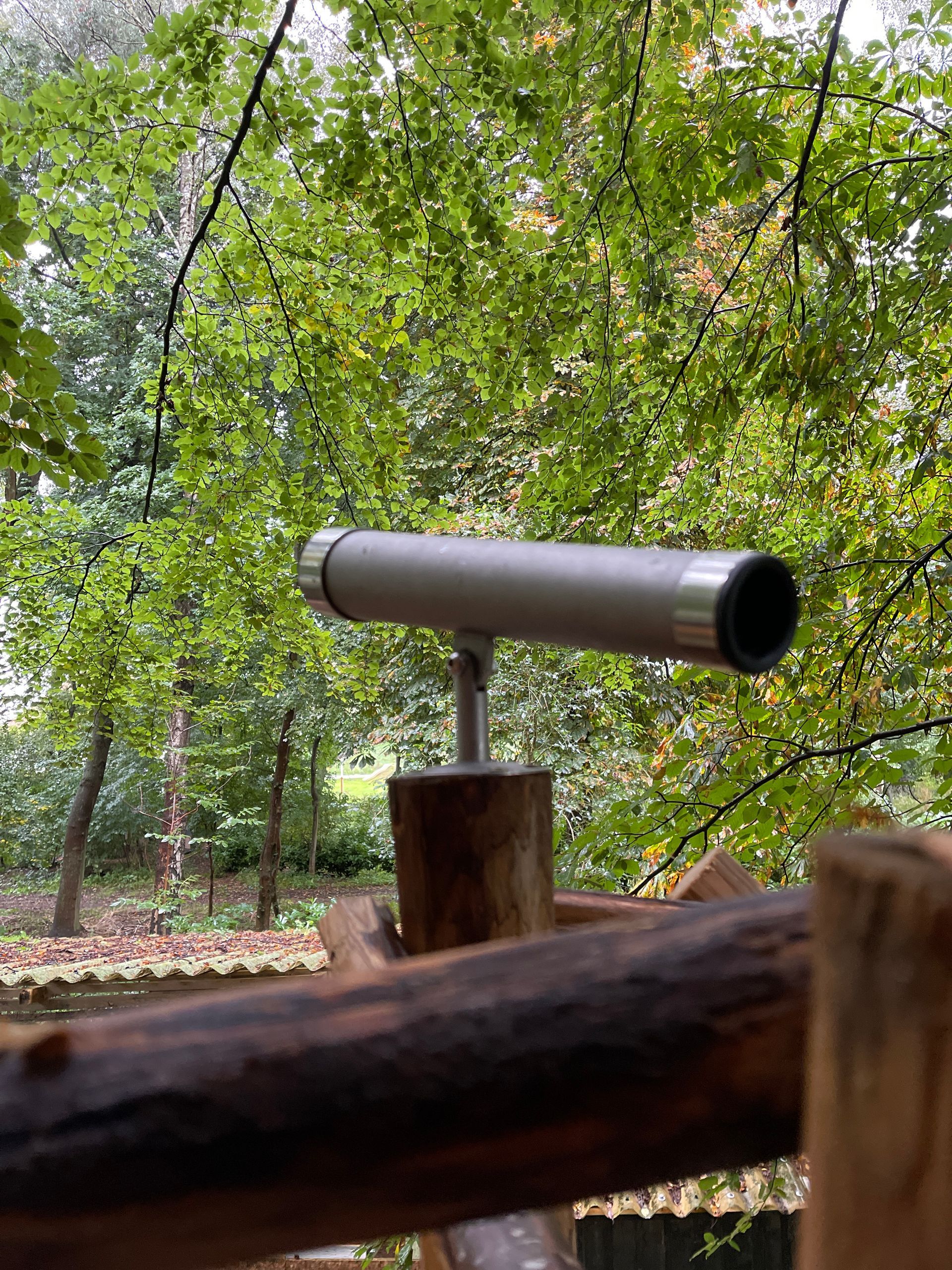 Een telescoop staat op een houten paal in het bos.