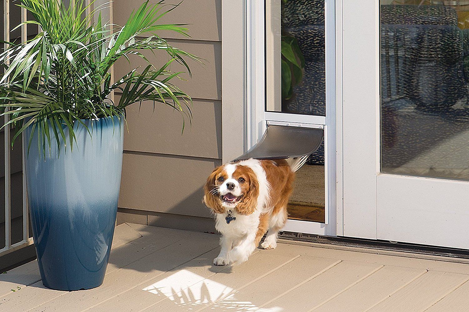 pet door