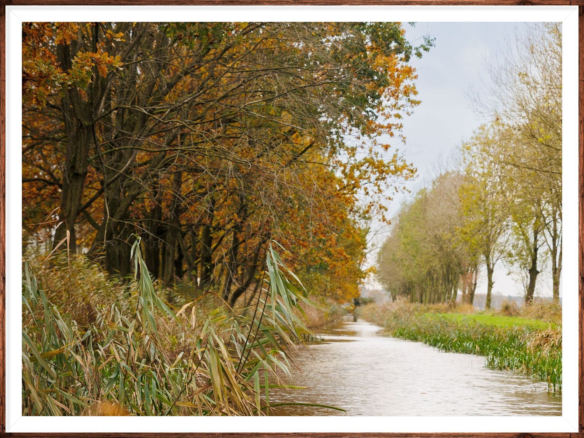 Een foto van een rivier omgeven door bomen in de herfst