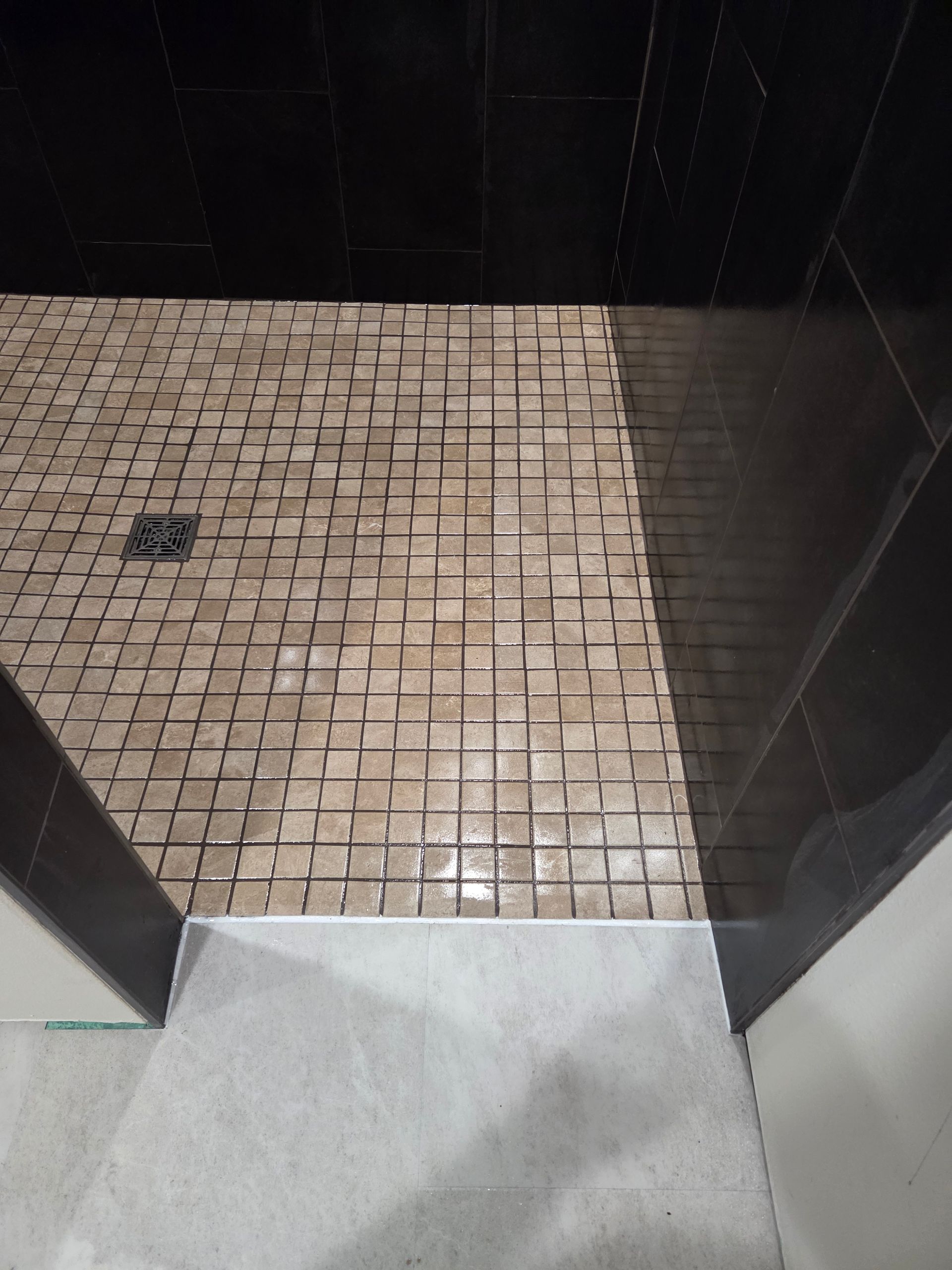 A walk-in shower with a mosaic-tiled floor, dark wall tiles, and a light-colored tile floor transition at the entrance.
