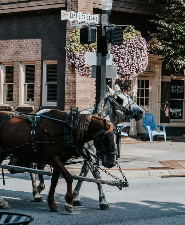 Two horses are pulling a carriage down a street in front of a sign that says 14th street