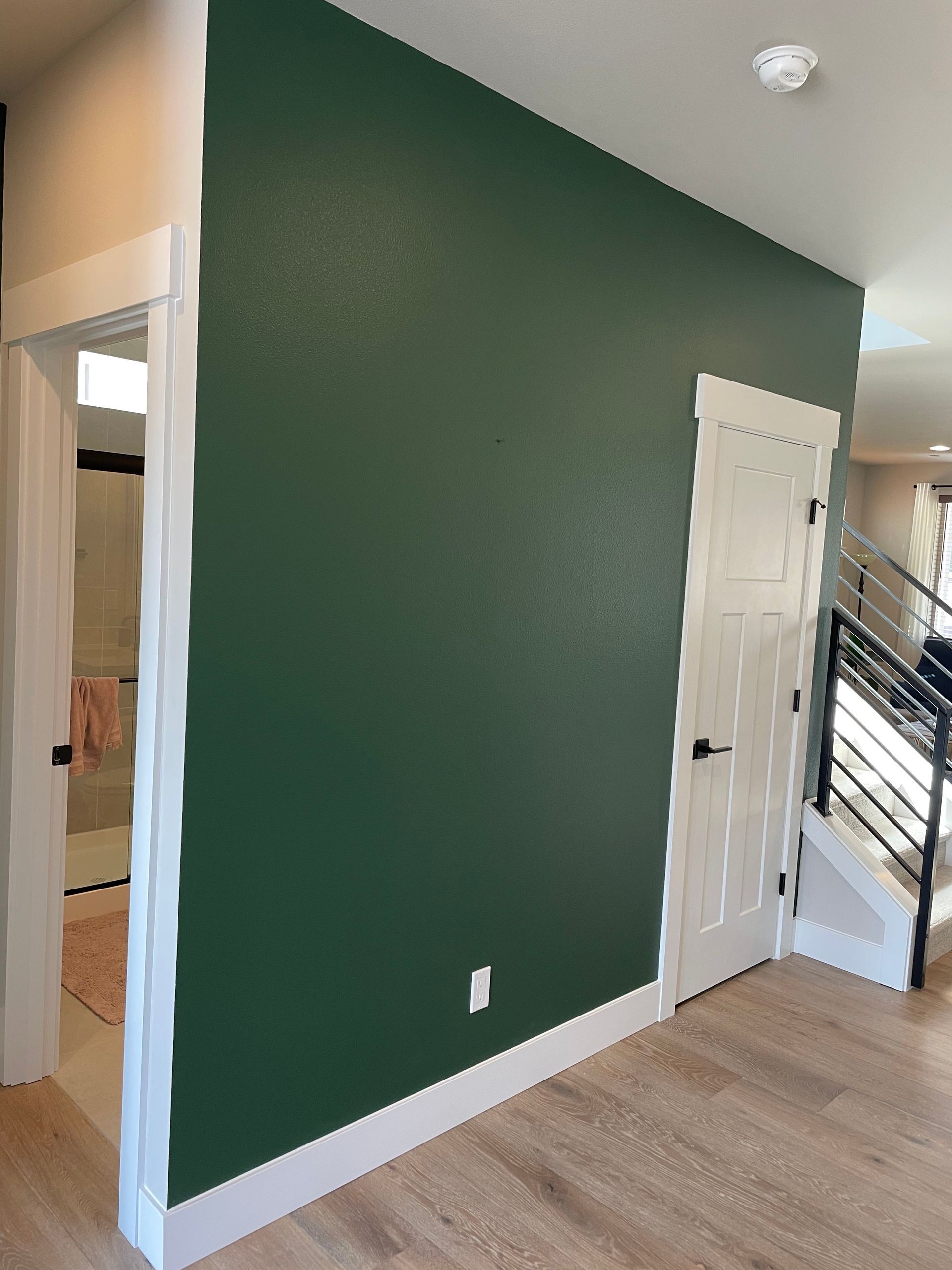 Green Wall and White Door — Maple Valley, WA — One Source Contracting LLC