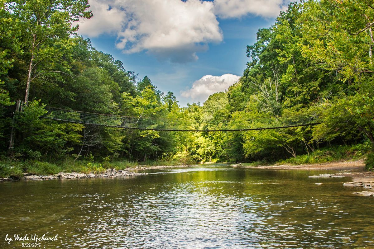 A fountain in a park with palm trees in the background