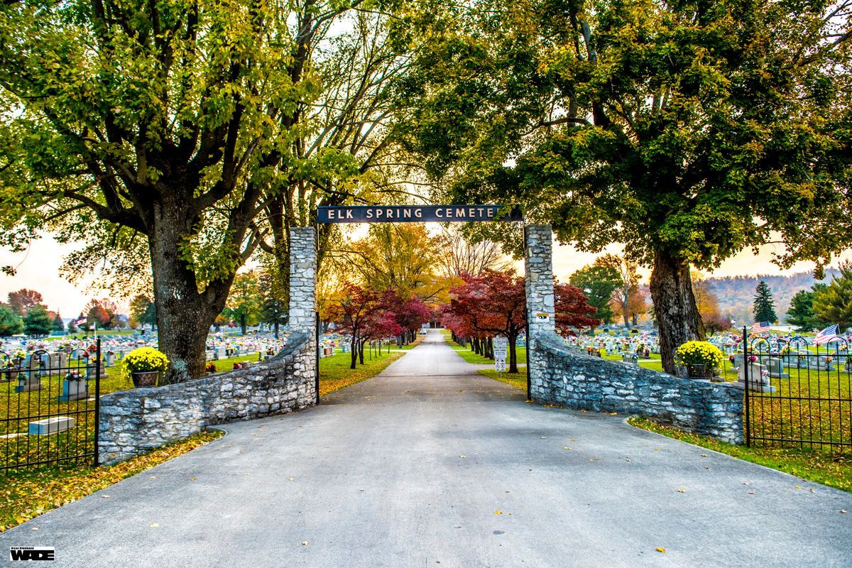Cannon on a grassy field under a blue sky with fluffy clouds and trees.