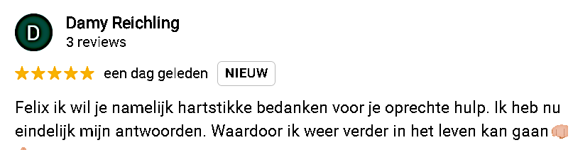 Een screenshot van een recensie van danny reichling