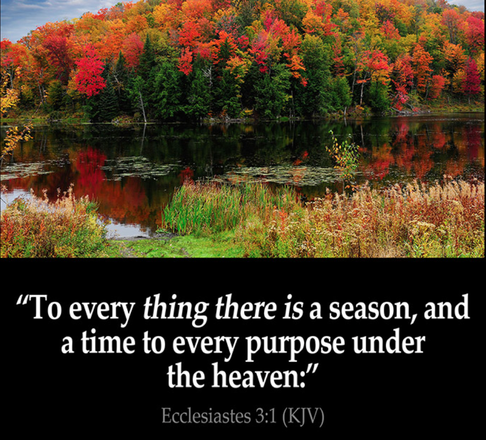 Seasons Of Life