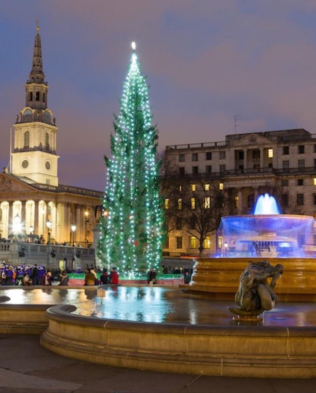 Residential Christmas Decorators Glasgow Shelly Lighting