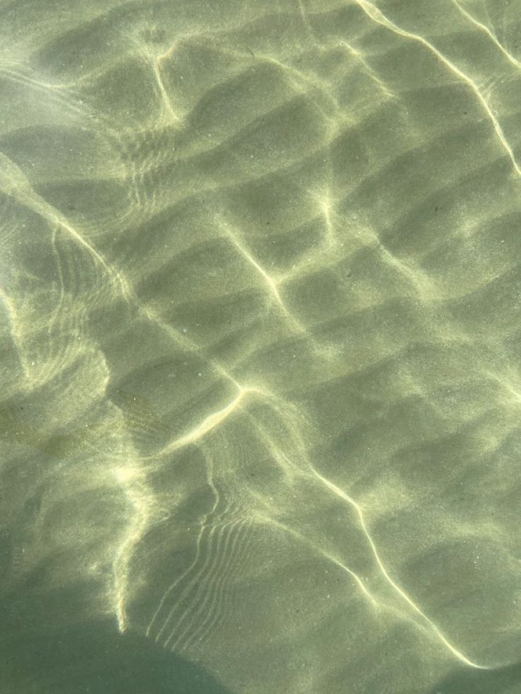 Sunlight ripples through clear, shallow water, casting bright, wavy patterns onto the sandy, greenish-toned sea floor.