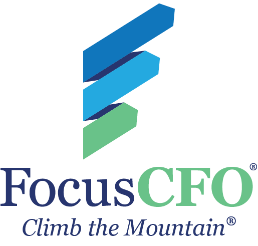 FocusCFO logo: abstract blue and green shapes with the company name in dark blue and green text.