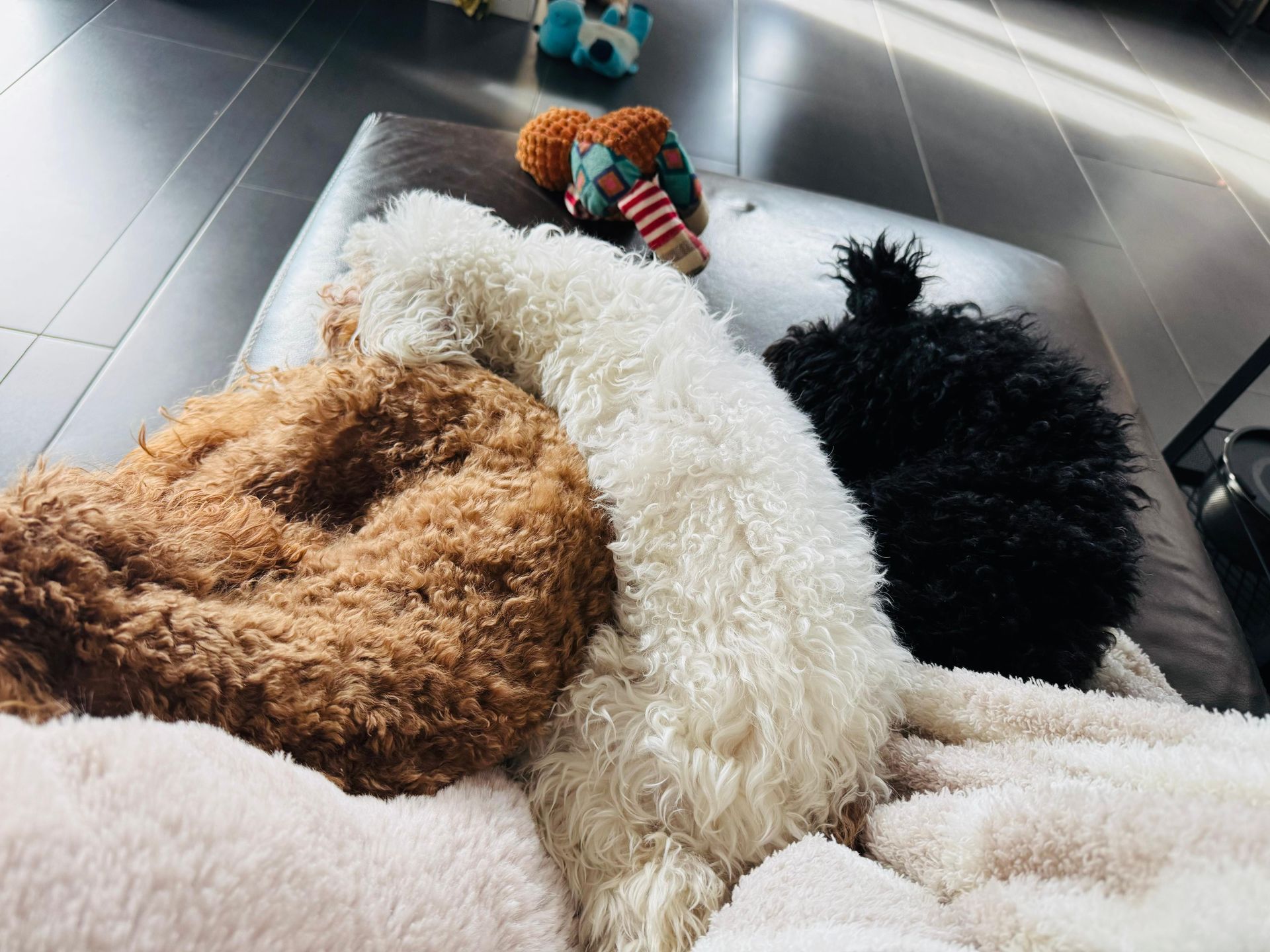 Mallow, Toffee & Oreo