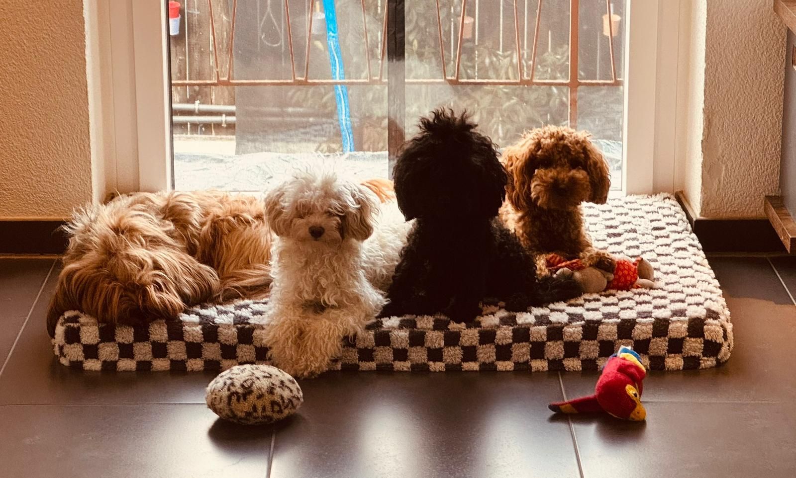 v. li. Muffin, Mallow, Toffee & Oreo