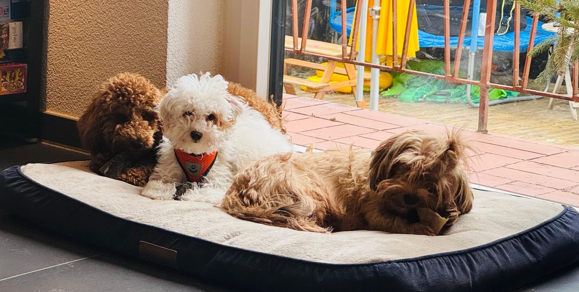 Muffin, Mallow & Oreo