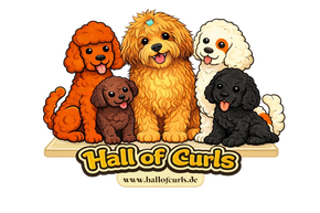 Logo Hall of Curls