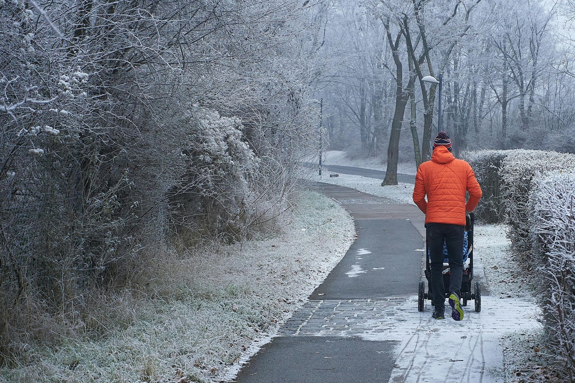 Person pushing stroller on snowy path lined with bushes and trees.