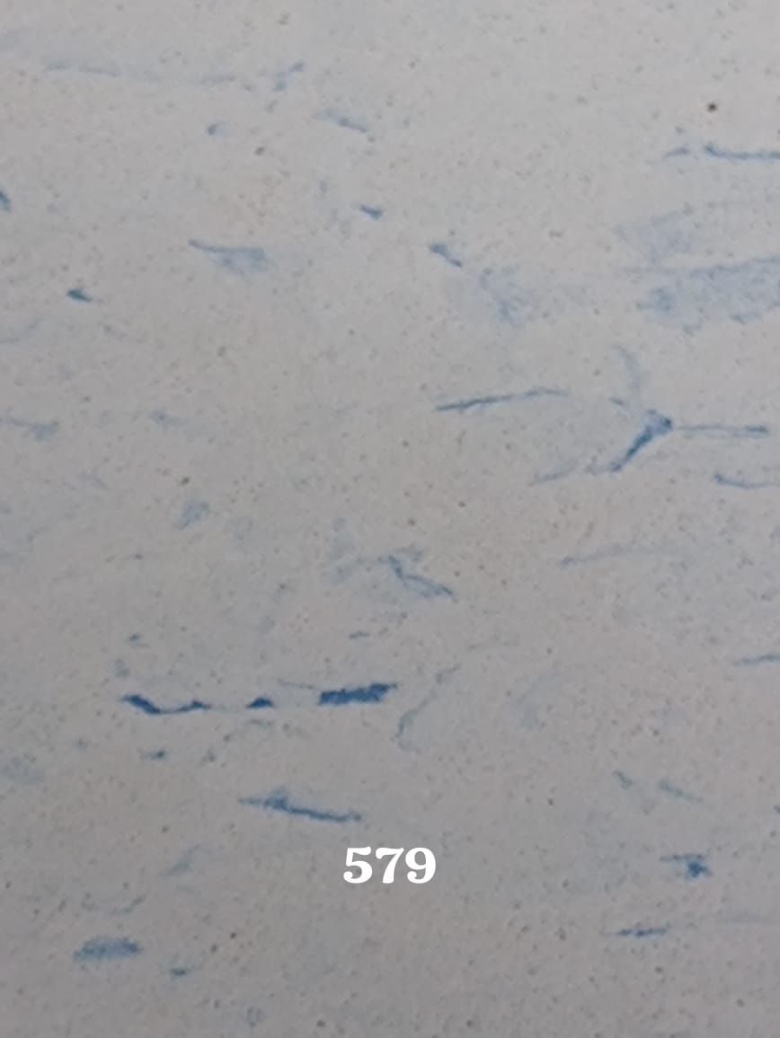 Un trozo de papel con el número 579