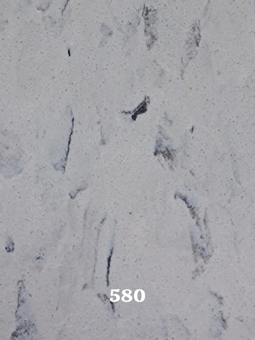 Un primer plano de una superficie blanca con el número 580