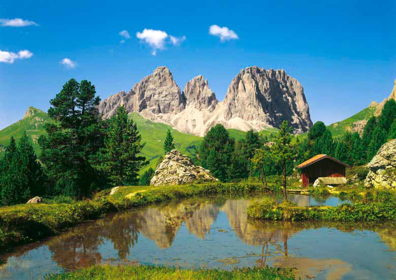 ALFOMBRAS Y PISOS VINÍLICOS S.A. DE C.V - foto-mural-dolomiten
