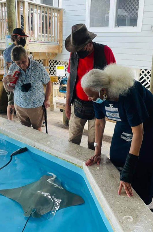 A group of people are looking at a stingray in a pool.