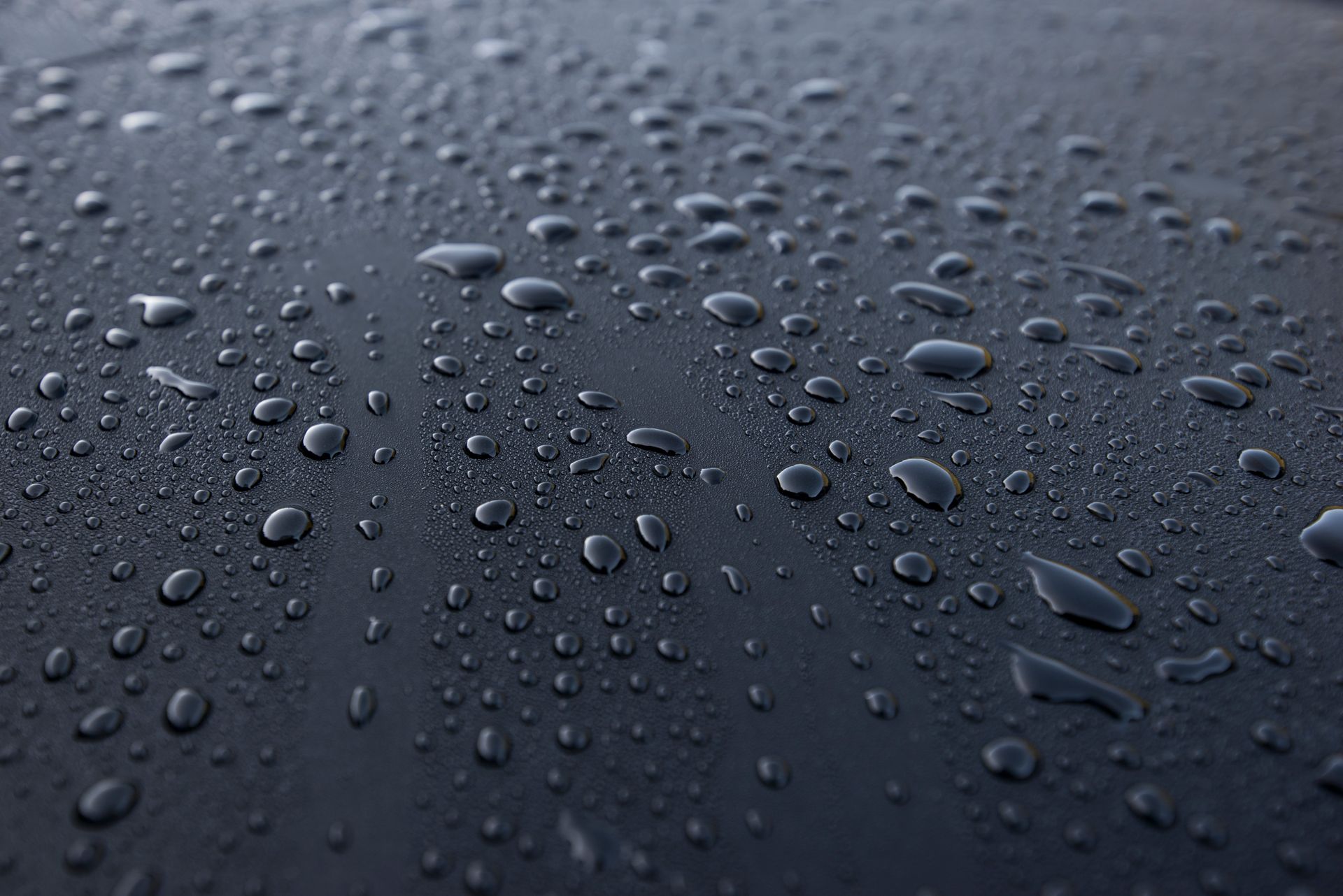 a close up of water drops on a black surface .