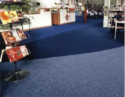 Hallway Carpet — Flooring Services in Pleasanton, CA
