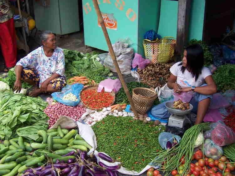 Indonesien Sumatra Java Bali Lombok Rundreise - MAYA-TRAVELS