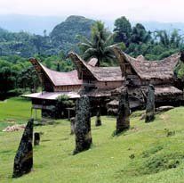 Sulawesi Toraja Haus
