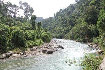 Sumatra Rundreise Bohorok River