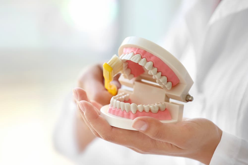Cleaning Denture With Toothbrush - Custom Mouthguards In Albury, NSW