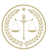 ICONA LOGO