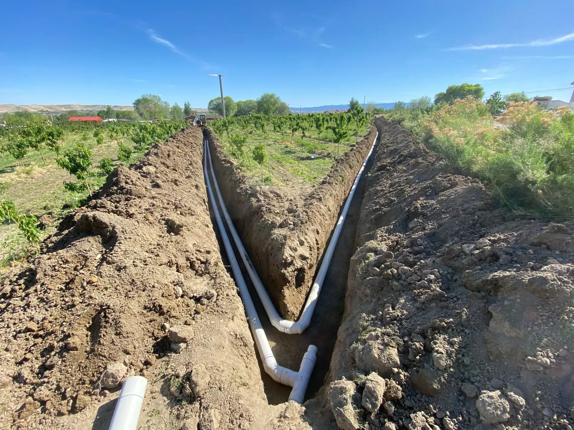 A long, narrow trench dug in soil, with white pipes inside, in a vineyard.