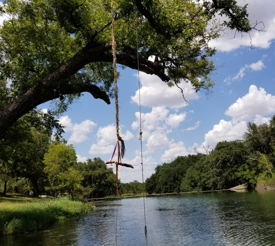 A person is swinging from a tree over a body of water