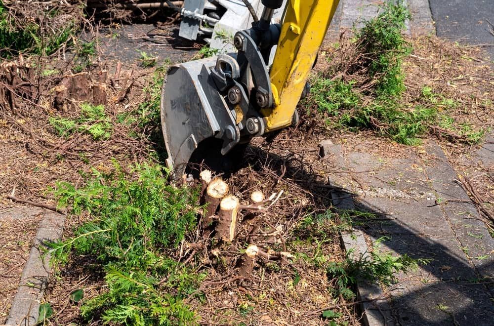 A Yellow Excavator is Digging a Hole in the Ground — Dingo's Tree Services In North Wollongong, NSW